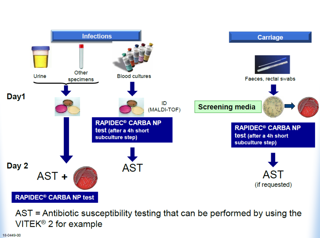 Carbapenemase Producing Organisms Why And How To Diagnose Rapidly